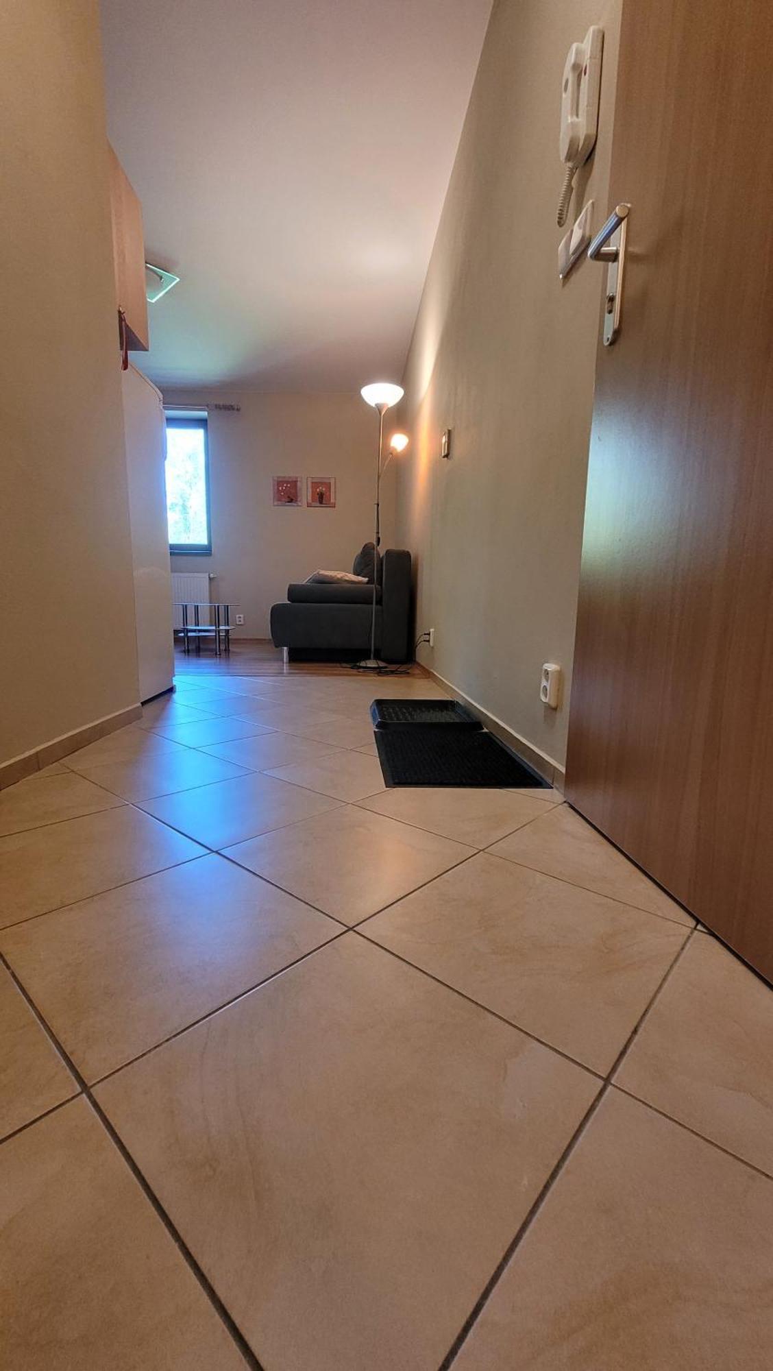 Apartmany U Tatranky タトランスカ・ ロムニツァ エクステリア 写真